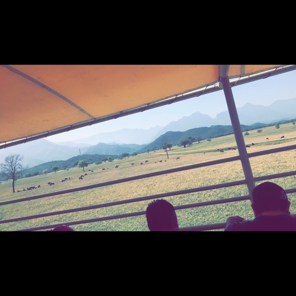 Meet your Posher, Lucy